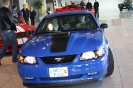 Mustang syning 17-04-2010
