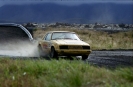 Mustangs in Iceland