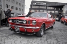 Mustangs in Iceland