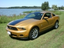 2010 Mustang V6 Coupé Gold