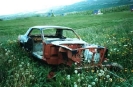 Down on the Farm