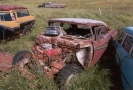 Down on the Farm
