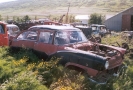 Down on the Farm