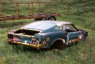Down on the Farm