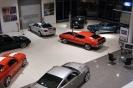 Mustangs in Iceland