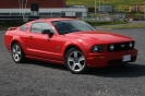 Mustangs in Iceland