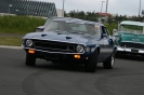 Mustangs in Iceland