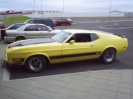 Mustang_2