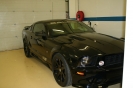 Hilmars Mustangs