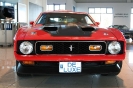 Mustang syning 17-04-2010