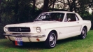1964.5 Mustang