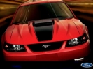 2003 Mustang