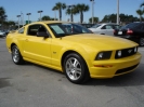 2006 Mustang